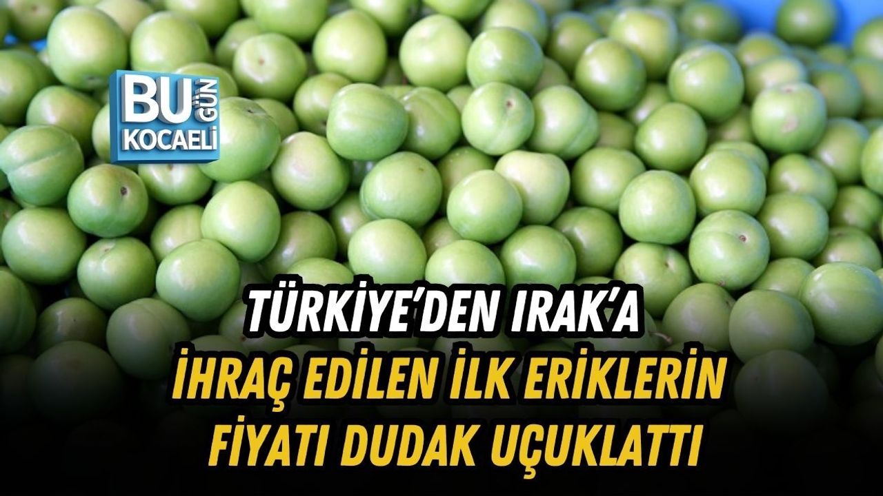 TÜRKİYE’DEN IRAK’A İHRAÇ EDİLEN İLK ERİKLERİN FİYATI DUDAK UÇUKLATTI