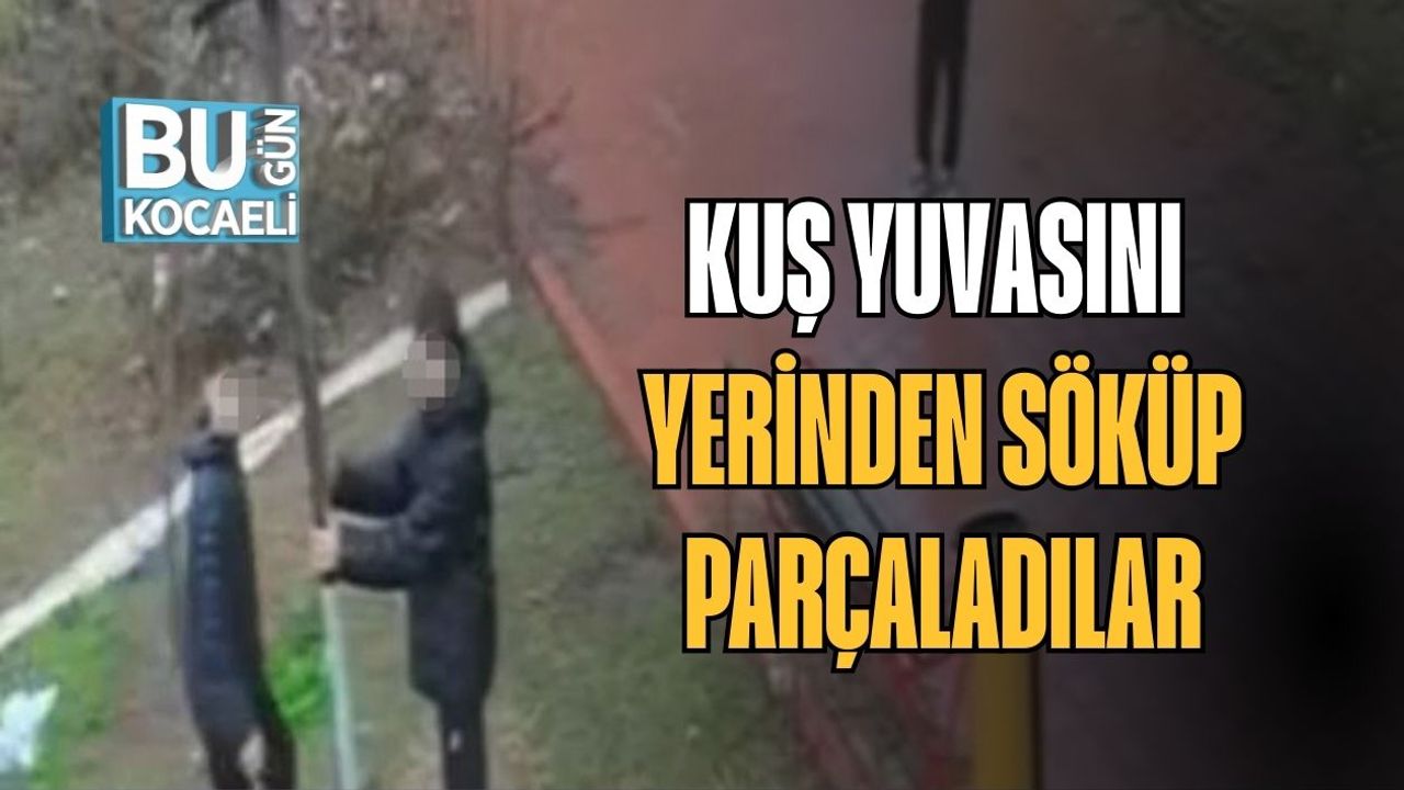 Kuş Yuvasını Yerinden Söküp Parçaladılar