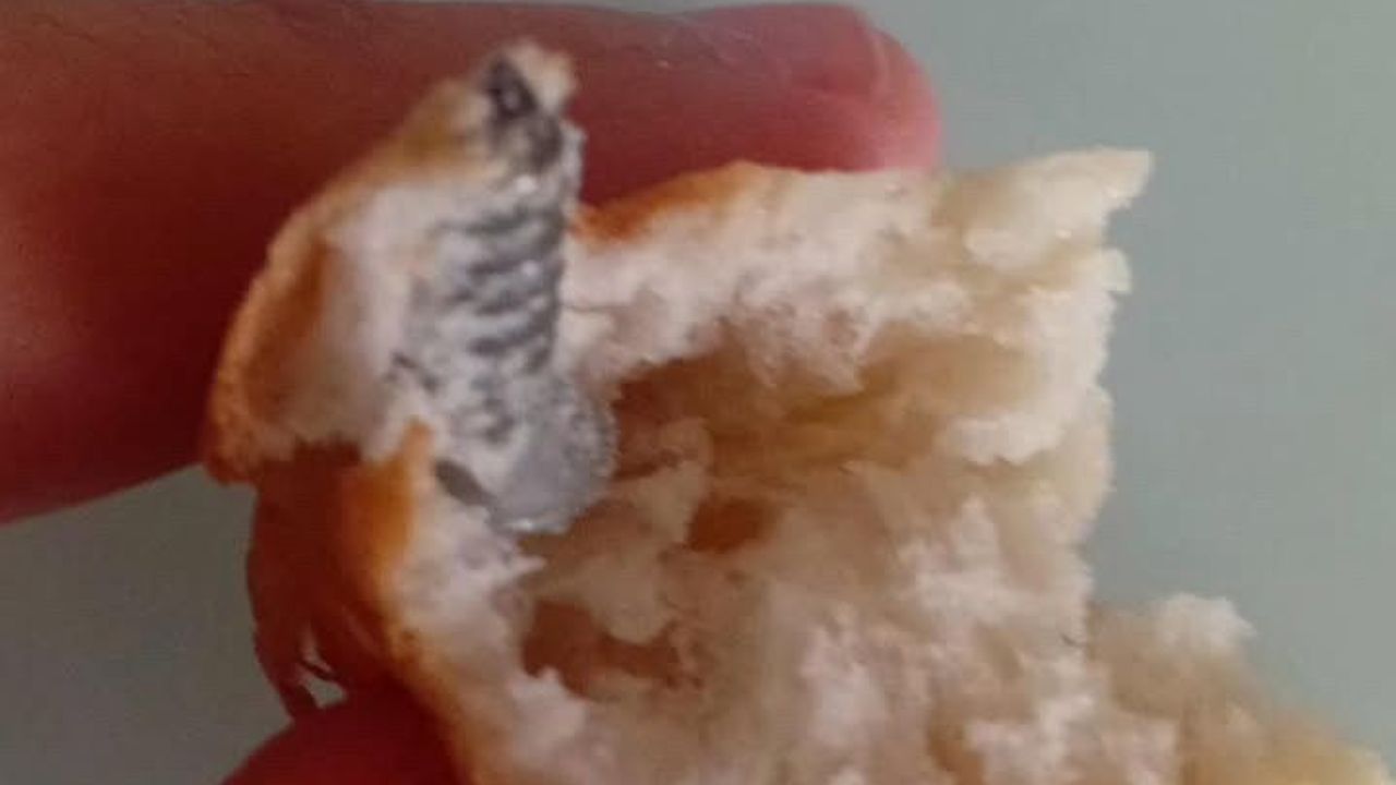 EKMEKTEN VİDA ÇIKTI: VATANDAŞ ŞOKTA