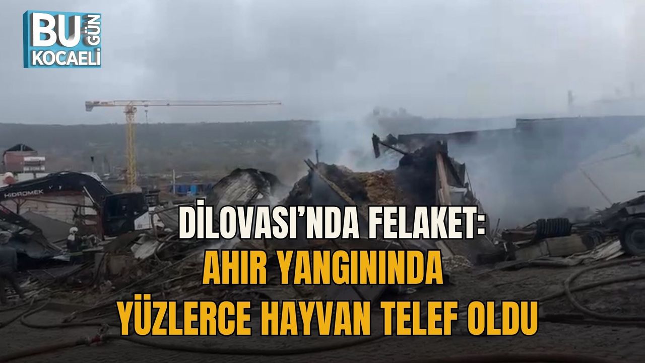 DİLOVASI’NDA FELAKET: AHIR YANGININDA YÜZLERCE HAYVAN TELEF OLDU