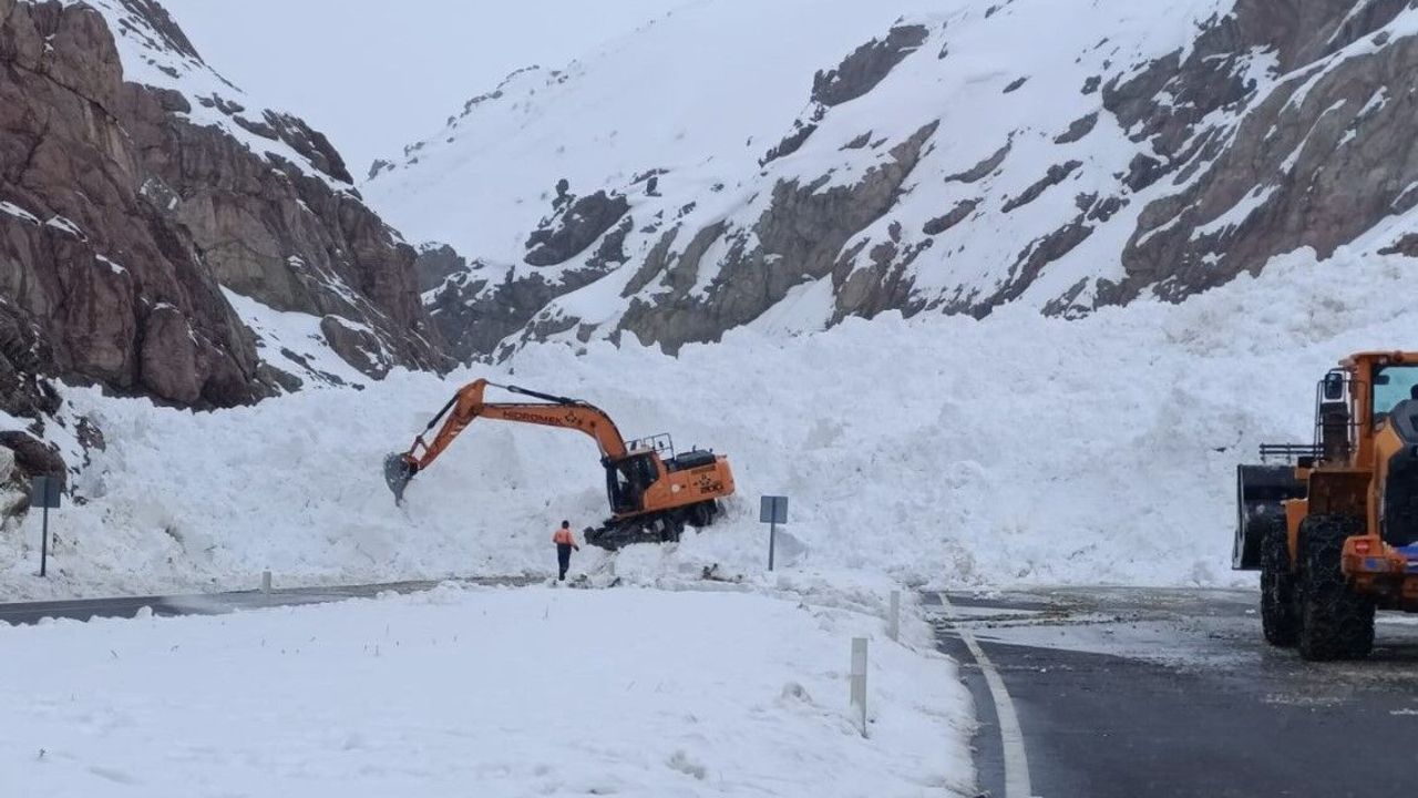 VAN-HAKKARİ YOLUNDA ÇIĞ FELAKETİ! ARAÇLAR MAHSUR KALDI, ULAŞIM DURDU