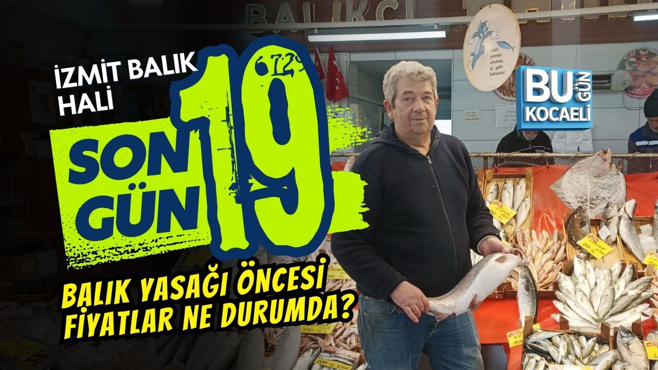 İZMİT BALIK HALİ FİYATLARI 26 MART 2026: AV YASAĞI ÖNCESİ ETİKETLER YÜKSELİR Mİ?