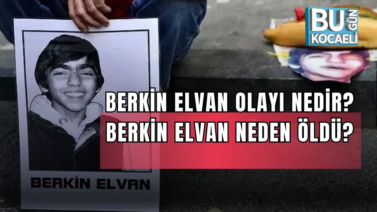 BERKİN ELVAN OLAYI NEDİR? BERKİN ELVAN NEDEN ÖLDÜ?