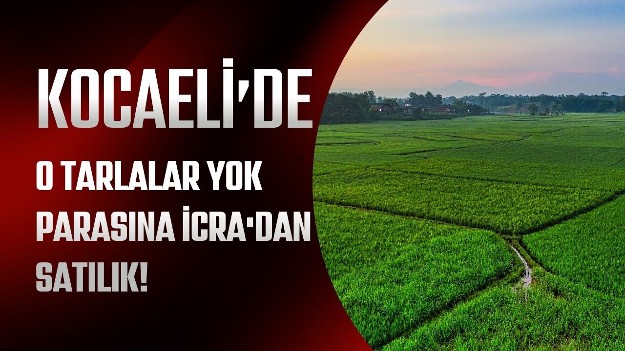 KOCAELİ’DE O TARLALAR YOK PARASINA İCRA'DAN SATILIK!