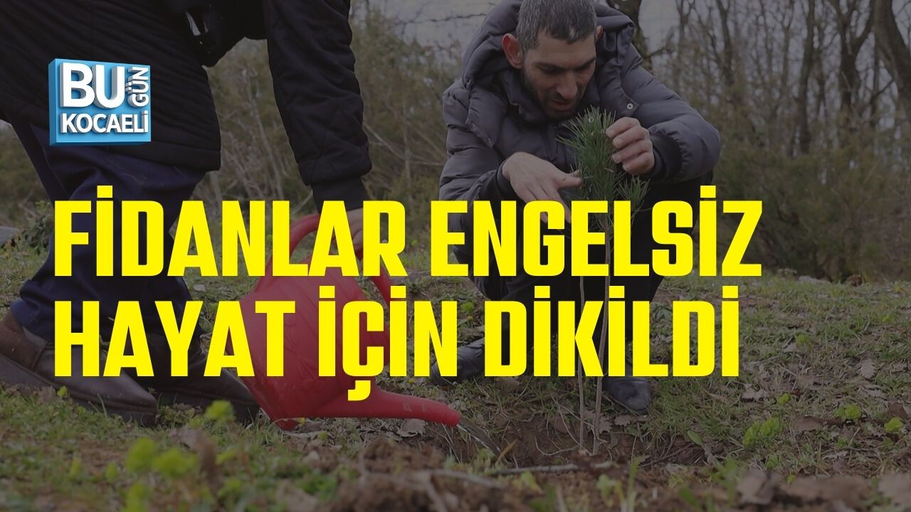 FİDANLAR ENGELSİZ HAYAT İÇİN DİKİLDİ