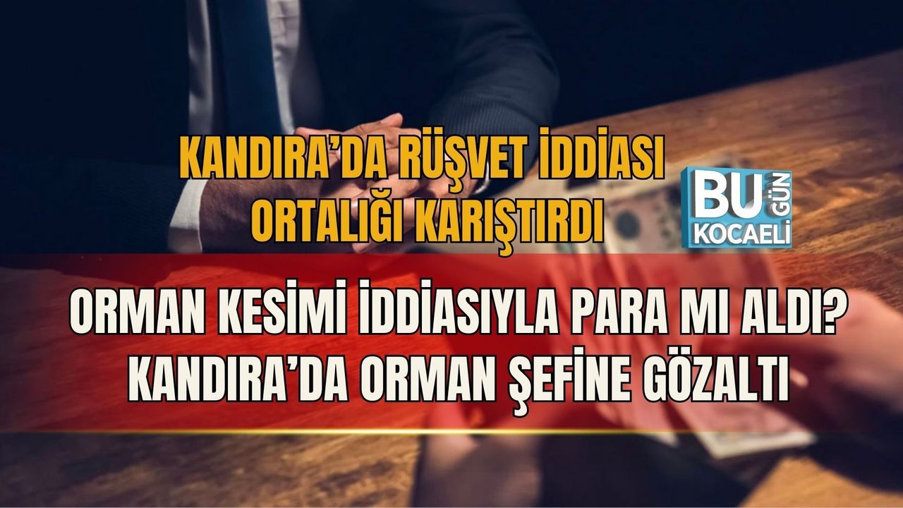 KANDIRA’DA RÜŞVET İDDİASI ORTALIĞI KARIŞTIRDI: ORMAN KESİMİ İDDİASIYLA PARA MI ALDI? KANDIRA’DA ORMAN ŞEFİNE GÖZALTI