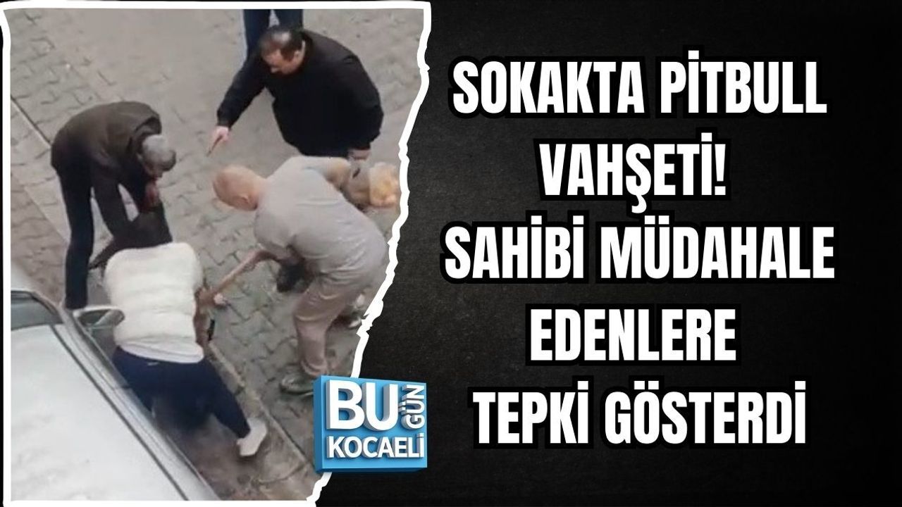 SOKAKTA PİTBULL VAHŞETİ! SAHİBİ MÜDAHALE EDENLERE TEPKİ GÖSTERDİ