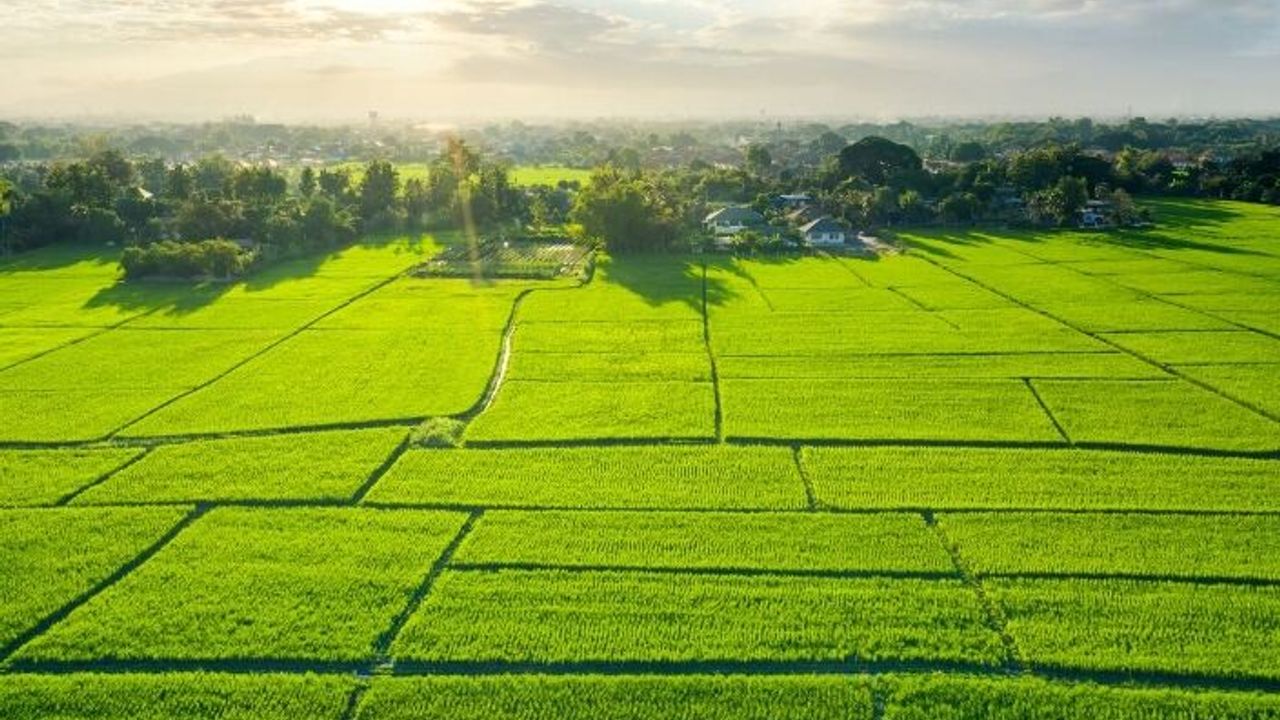 GEBZE’DE İKİ ARSA İCRA YOLUYLA SATIŞA ÇIKIYOR