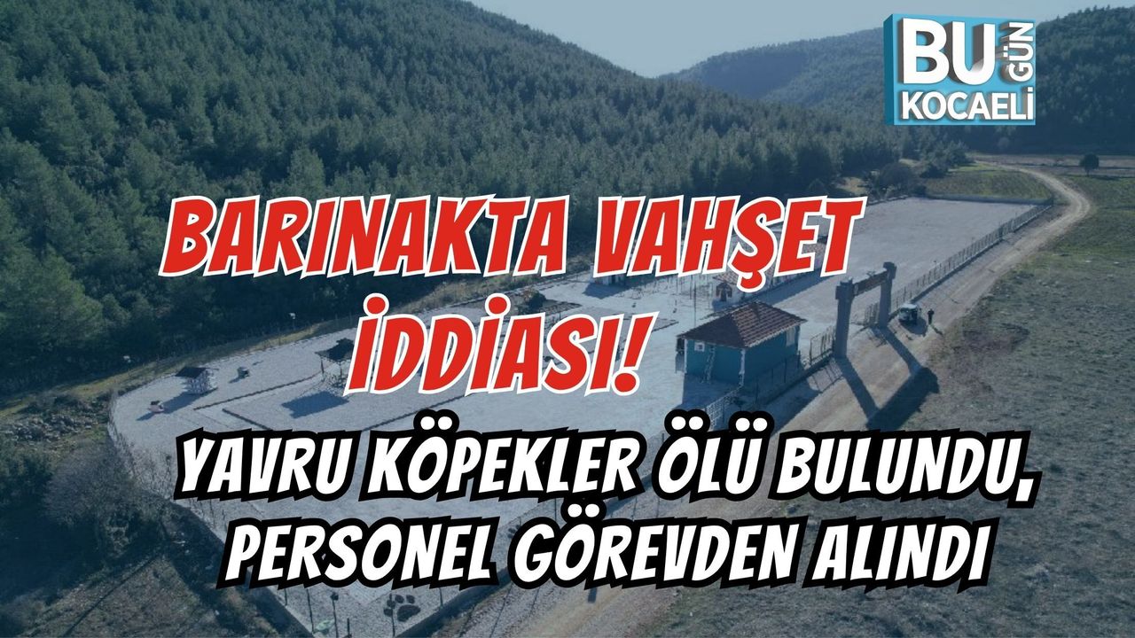 BARINAKTA VAHŞET İDDİASI! YAVRU KÖPEKLER ÖLÜ BULUNDU, PERSONEL GÖREVDEN ALINDI