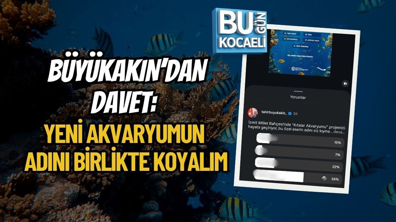 BÜYÜKAKIN’DAN DAVET: YENİ AKVARYUMUN ADINI BİRLİKTE KOYALIM
