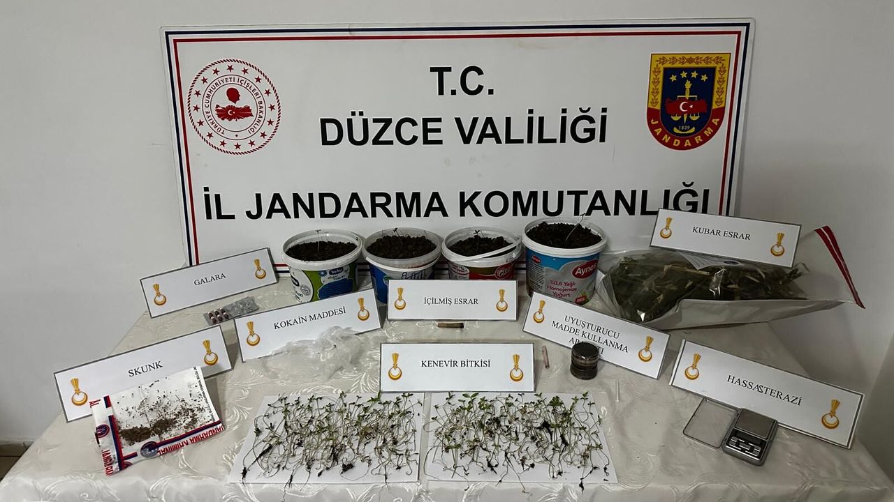 EVİNDE SAKSIYA KENEVİR EKMİŞ! DÜZCE’DE UYUŞTURUCU OPERASYONU