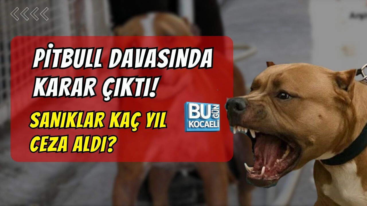 PİTBULL DAVASINDA KARAR ÇIKTI! SANIKLAR KAÇ YIL CEZA ALDI?