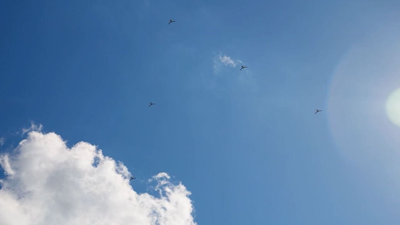 K2 KAMİKAZE İHA’DA KRİTİK BAŞARI: YAPAY ZEKA DESTEKLİ SÜRÜ UÇUŞU TAMAMLANDI