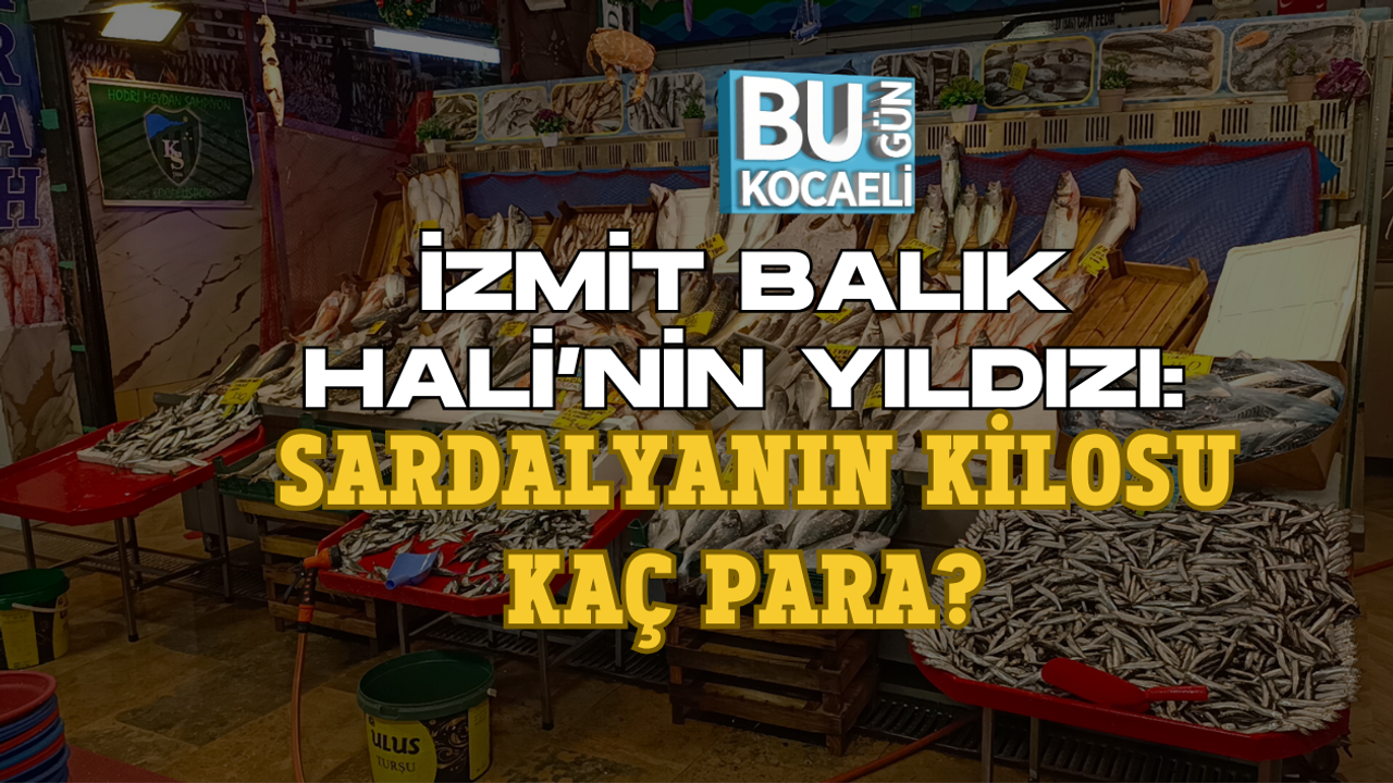 İZMİT BALIK HALİ’NİN YILDIZI: SARDALYANIN KİLOSU KAÇ PARA?