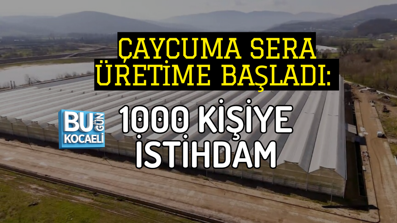 ZONGULDAK ÇAYCUMA SERAÜRETİME BAŞLADI: 1000 KİŞİYE İSTİHDAM
