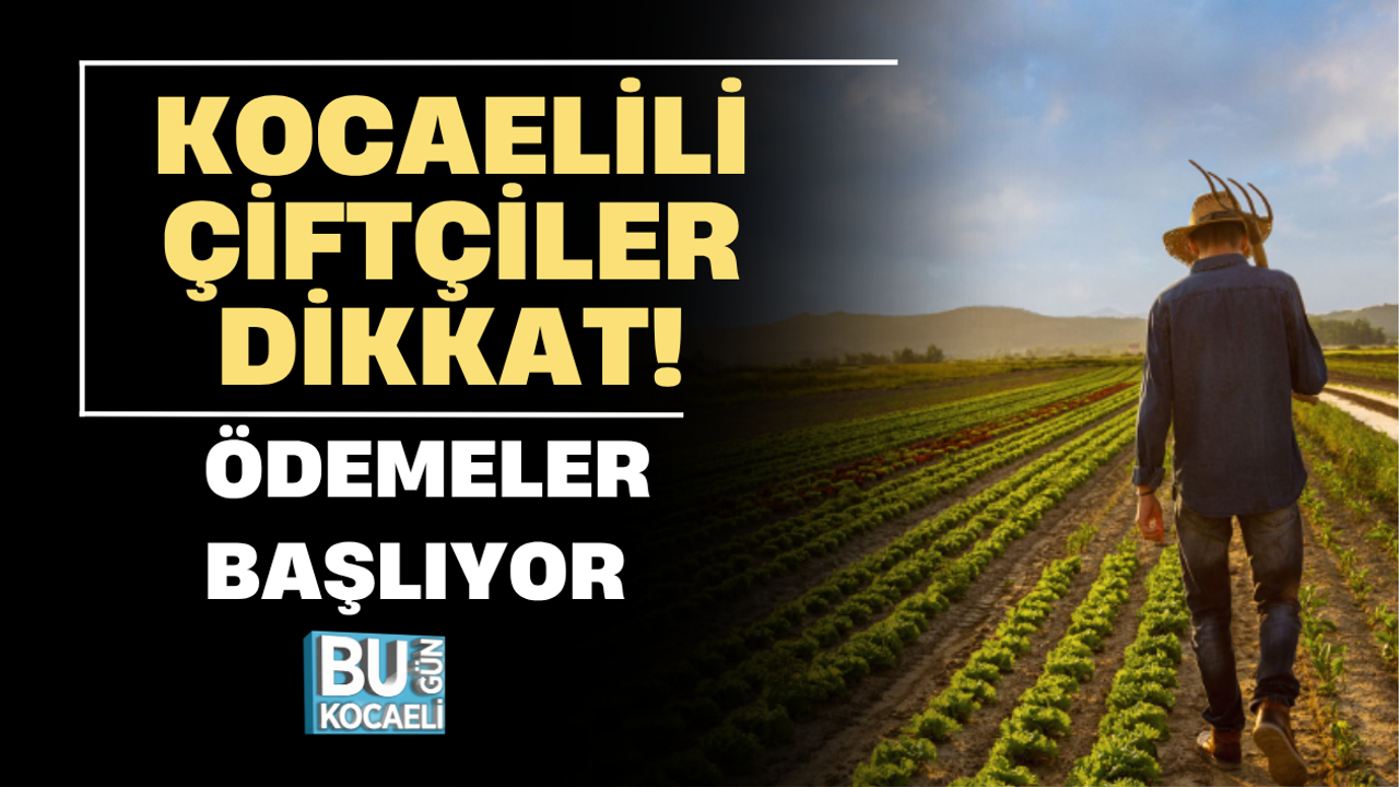 KOCAELİLİ ÇİFTÇİLER DİKKAT! ÖDEMELER BAŞLIYOR