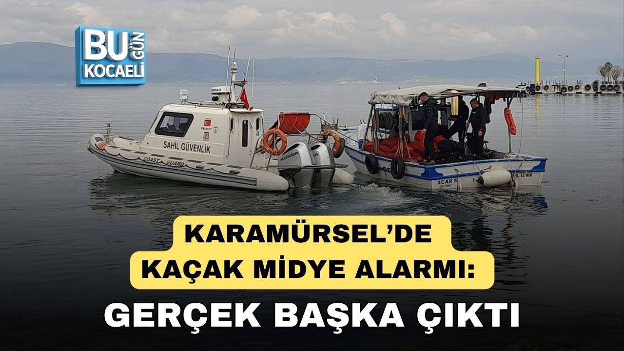 KARAMÜRSEL’DE KAÇAK MİDYE ALARMI: GERÇEK BAŞKA ÇIKTI