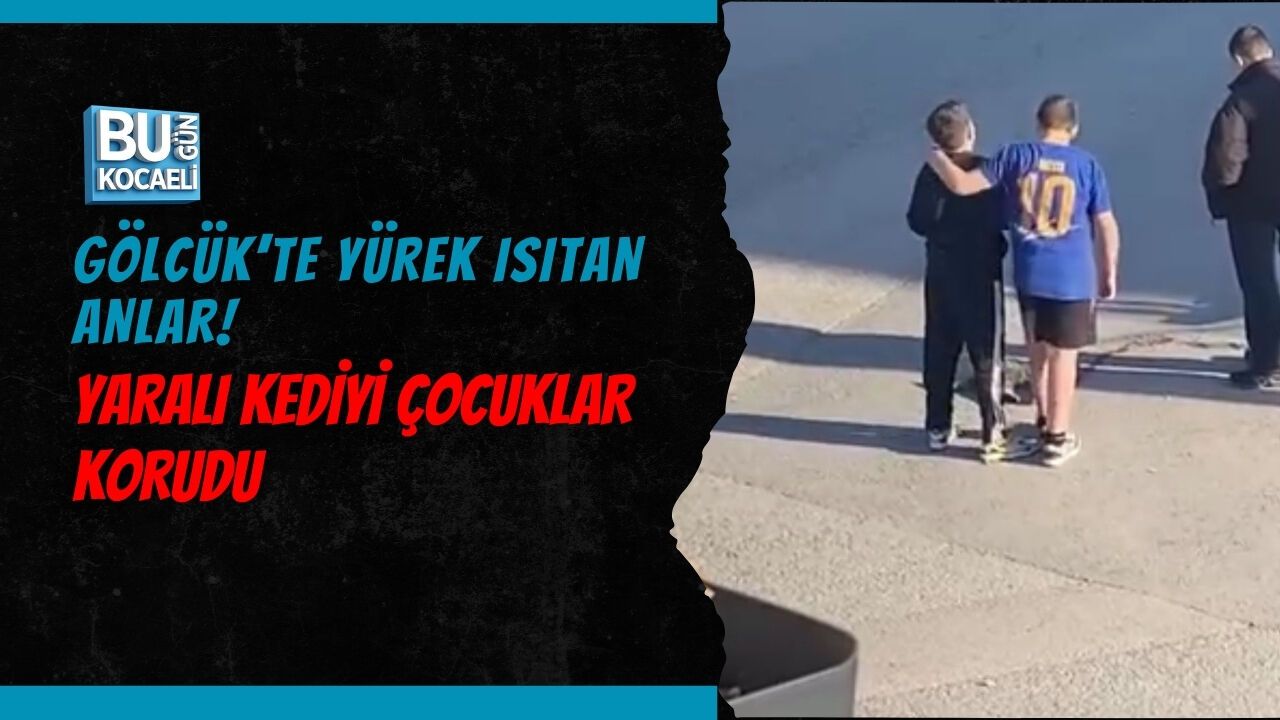 GÖLCÜK’TE YÜREK ISITAN ANLAR! YARALI KEDİYİ ÇOCUKLAR KORUDU