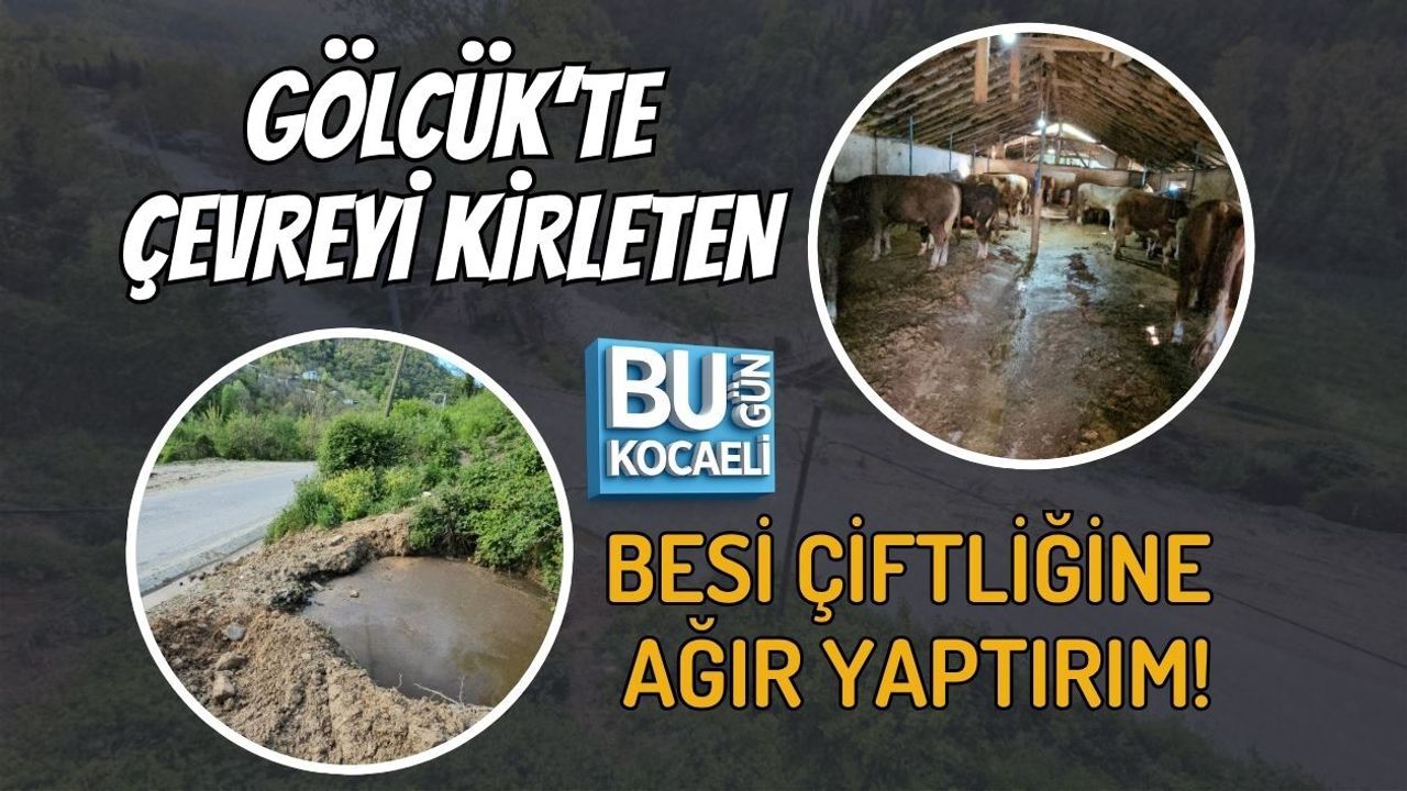 GÖLCÜK’TE ÇEVREYİ KİRLETEN BESİ ÇİFTLİĞİNE AĞIR YAPTIRIM!