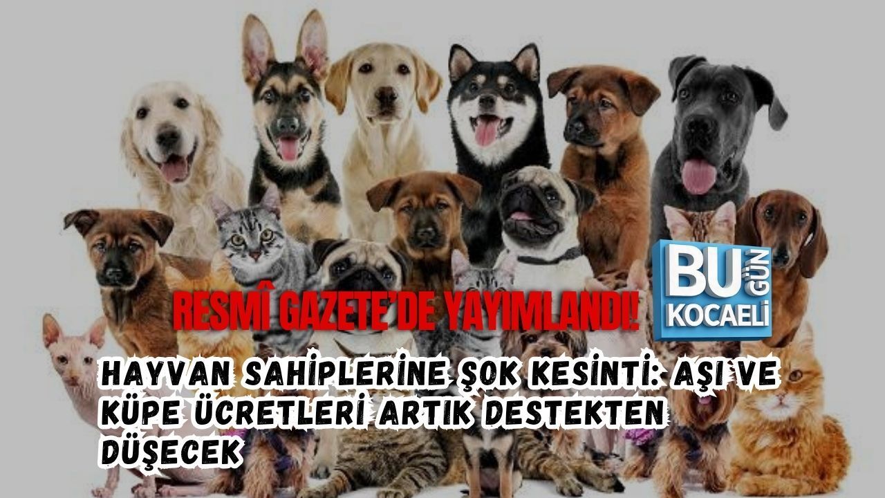 RESMÎ GAZETE’DE YAYIMLANDI! HAYVAN SAHİPLERİNE ŞOK KESİNTİ: AŞI VE KÜPE ÜCRETLERİ ARTIK DESTEKTEN DÜŞECEK