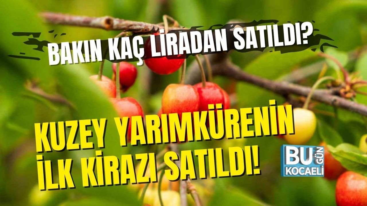 KUZEY YARIMKÜRENİN İLK KİRAZI SATILDI! BAKIN KAÇ LİRADAN SATILDI?