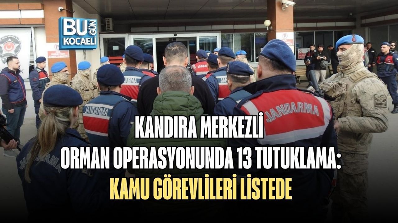 KANDIRA MERKEZLİ ORMAN OPERASYONUNDA 13 TUTUKLAMA: KAMU GÖREVLİLERİ LİSTEDE