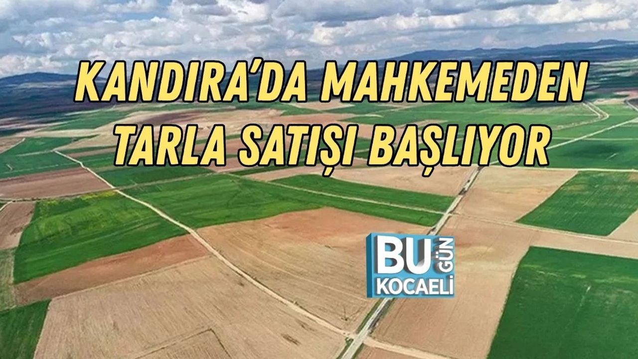 KANDIRA’DA MAHKEMEDEN TARLA SATIŞI BAŞLIYOR