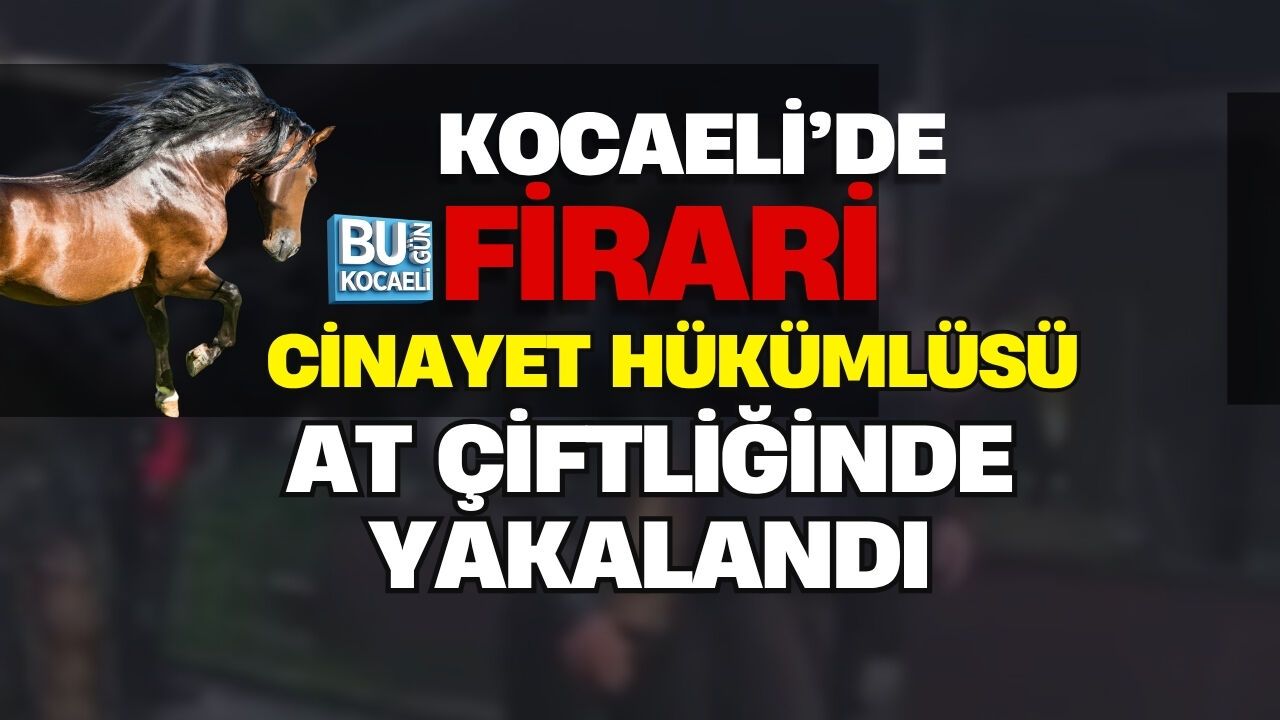KOCAELİ’DE FİRARİ CİNAYET HÜKÜMLÜSÜ AT ÇİFTLİĞİNDE YAKALANDI