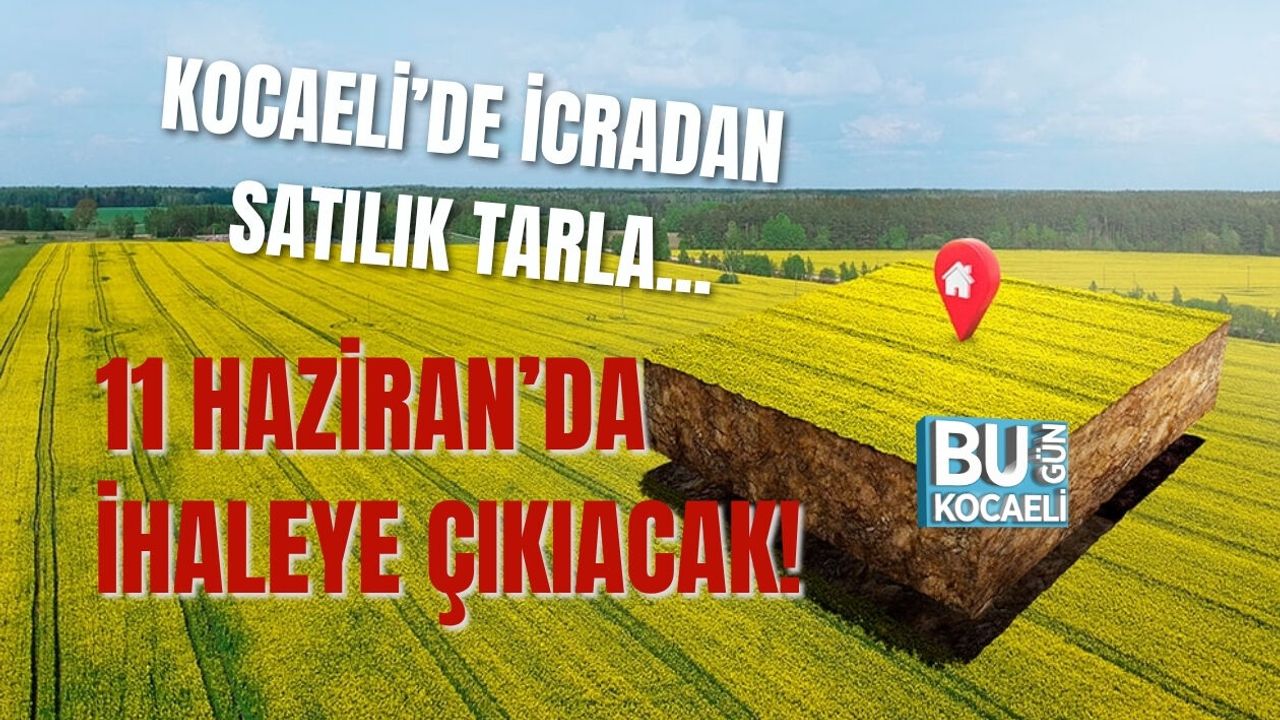 KOCAELİ’DE İCRADAN SATILIK TARLA... 11 HAZİRAN’DA İHALEYE ÇIKIACAK!