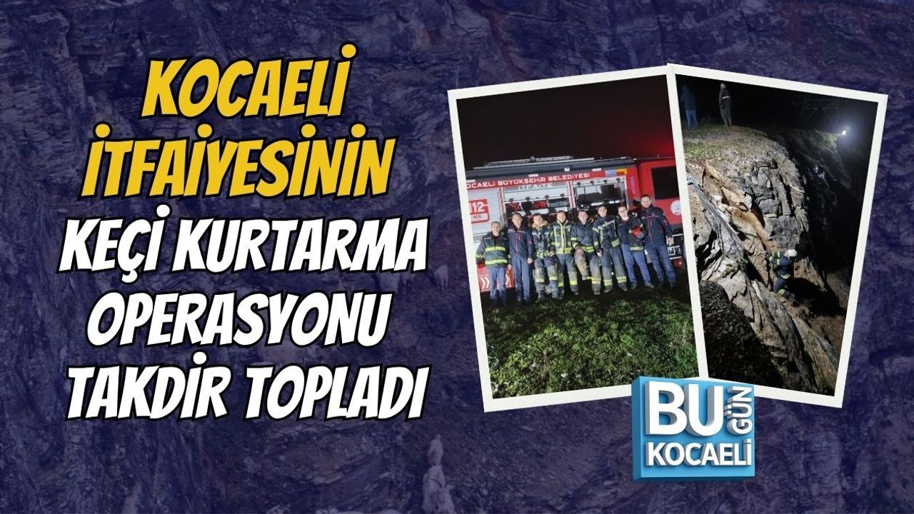 KOCAELİ İTFAİYESİNİN KEÇİ KURTARMA OPERASYONU TAKDİR TOPLADI