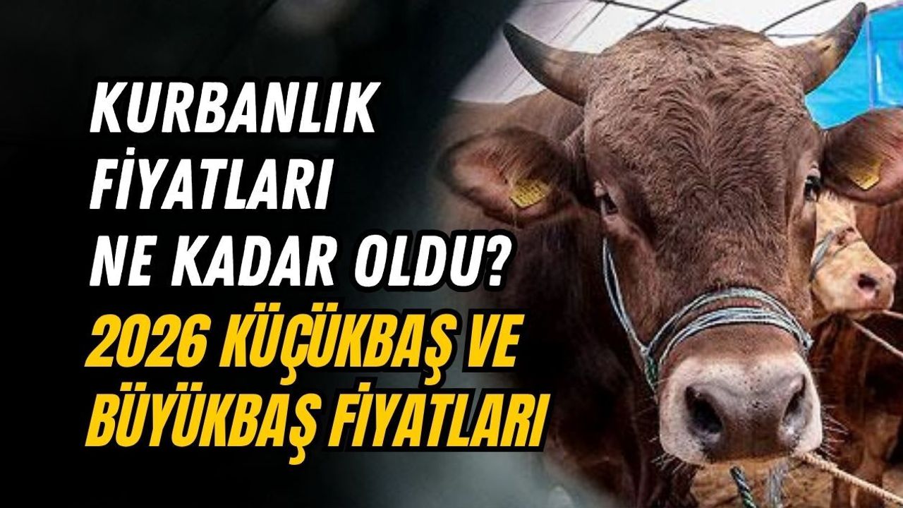 KURBANLIK FİYATLARI NE KADAR OLDU? 2026 KÜÇÜKBAŞ VE BÜYÜKBAŞ FİYATLARI