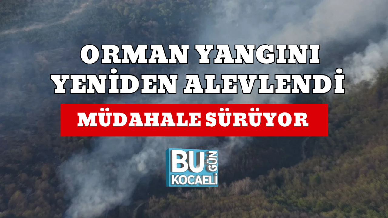 ORMAN YANGINI YENİDEN ALEVLENDİ MÜDAHALE SÜRÜYOR