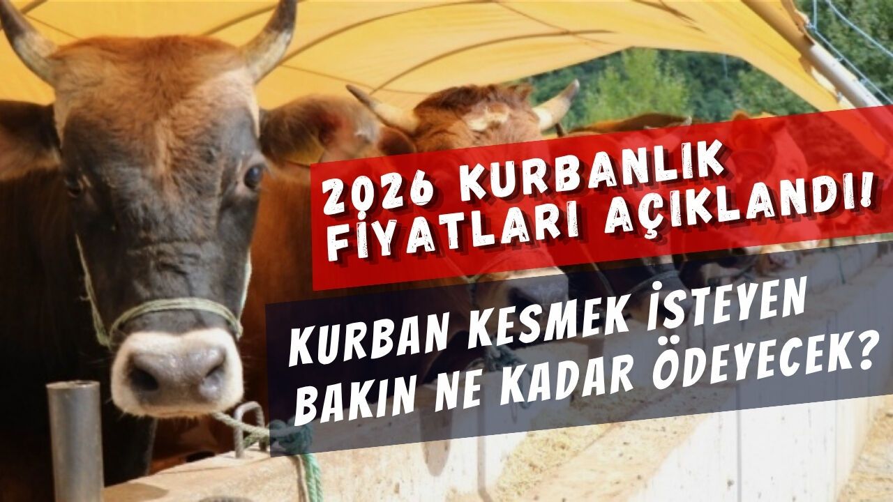 2026 KURBANLIK FİYATLARI AÇIKLANDI! KURBAN KESMEK İSTEYEN BAKIN NE KADAR ÖDEYECEK?