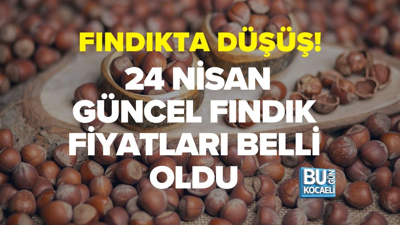 FINDIKTA SERT DÜŞÜŞ! 24 NİSAN GÜNCEL FINDIK FİYATLARI BELLİ OLDU