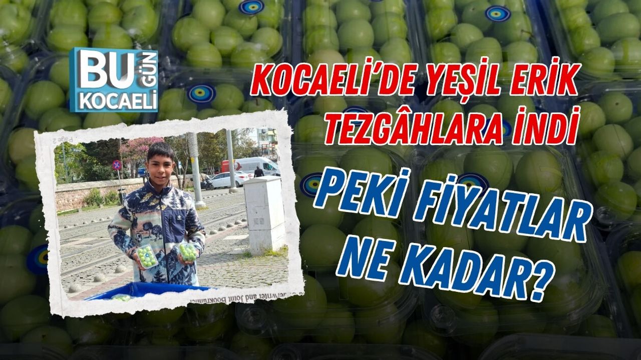 KOCAELİ’DE YEŞİL ERİK TEZGÂHLARA İNDİ, PEKİ FİYATLAR NE KADAR?