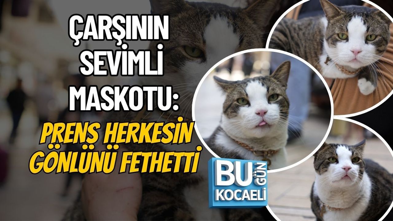 ÇARŞININ SEVİMLİ MASKOTU: PRENS HERKESİN GÖNLÜNÜ FETHETTİ