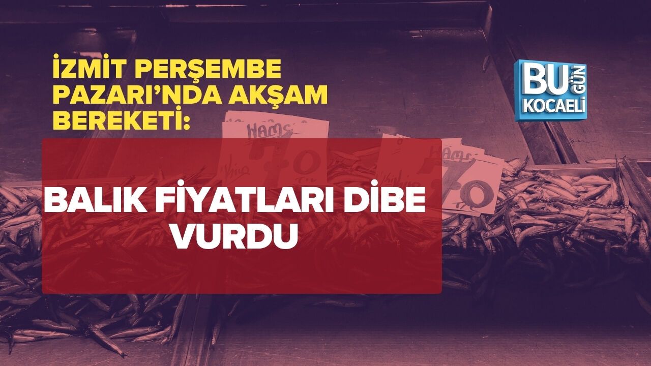 İZMİT PERŞEMBE PAZARI’NDA AKŞAM BEREKETİ: BALIK FİYATLARI DİBE VURDU
