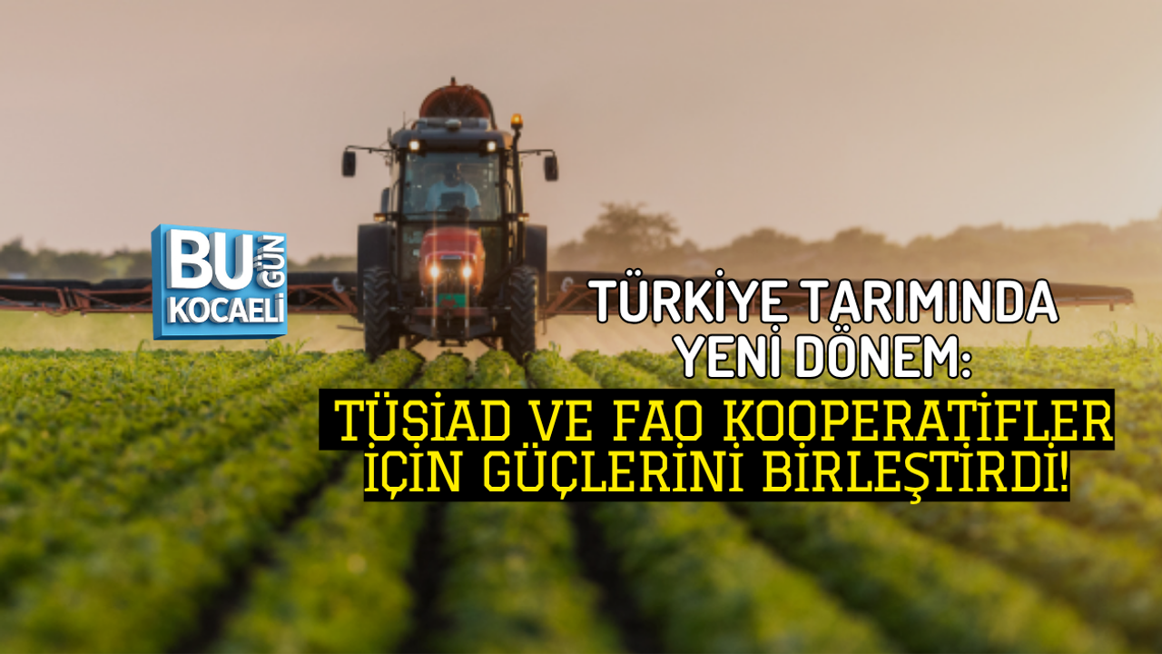 TÜRKİYE TARIMINDA YENİ DÖNEM: TÜSİAD VE FAO KOOPERATİFLER İÇİN GÜÇLERİNİ BİRLEŞTİRDİ!