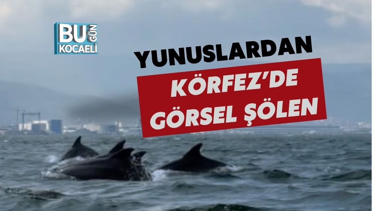 YUNUSLARDAN KÖRFEZ’DE GÖRSEL ŞÖLEN