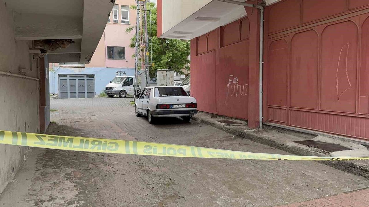 AMCA ÇOCUKLARI ARASINDAKİ TARTIŞMA KANLI BİTTİ