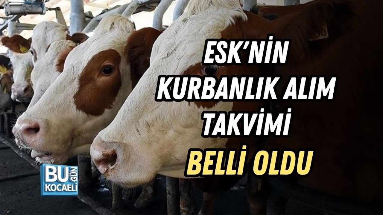 ESK'NİN KURBANLIK ALIM TAKVİMİ BELLİ OLDU