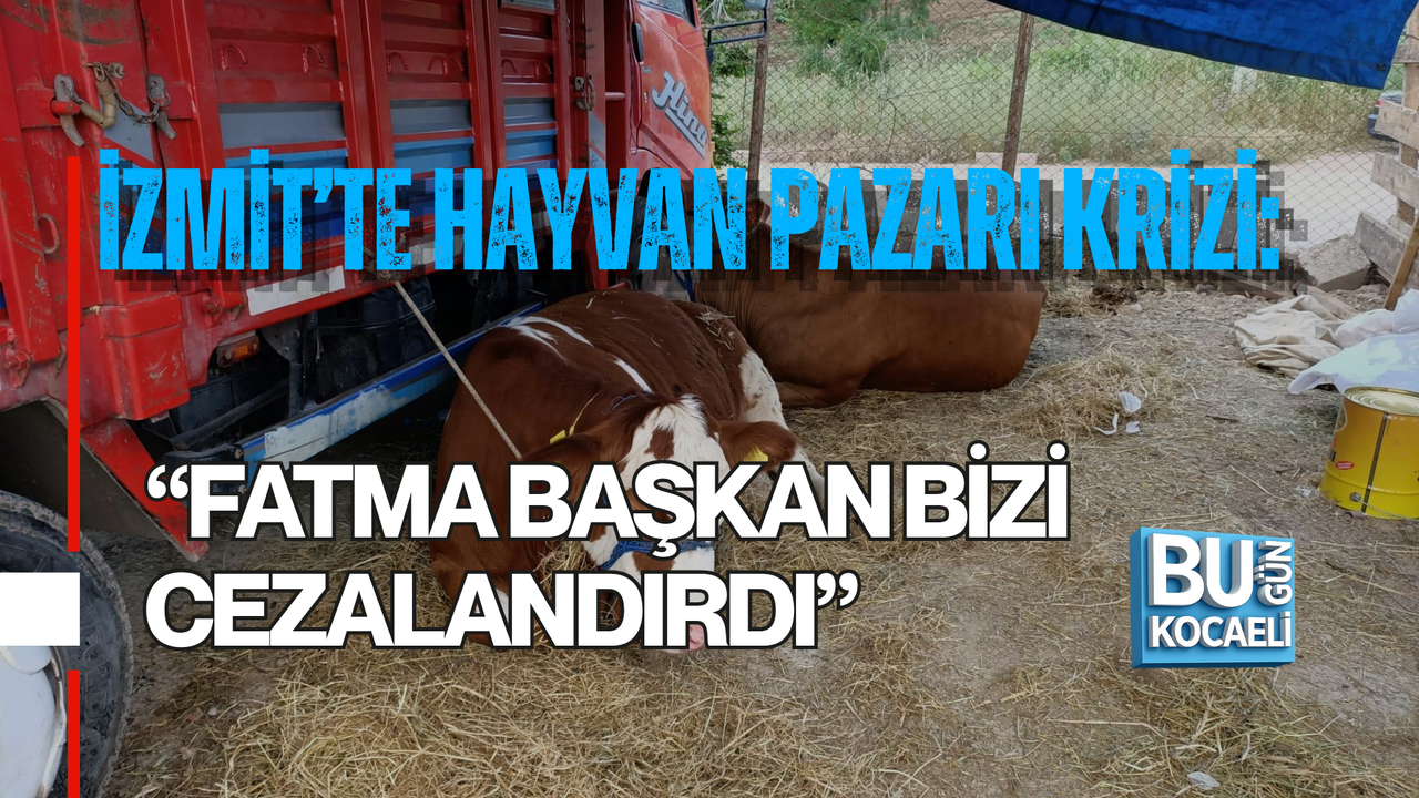 İZMİT’TE HAYVAN PAZARI KRİZİ: “FATMA BAŞKAN BİZİ CEZALANDIRDI”