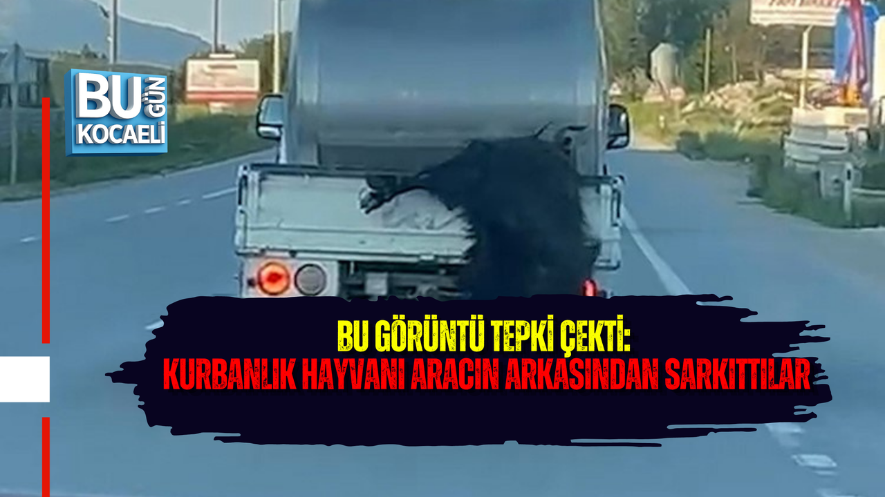 BU GÖRÜNTÜ TEPKİ ÇEKTİ: KURBANLIK HAYVANI ARACIN ARKASINDAN SARKITTILAR