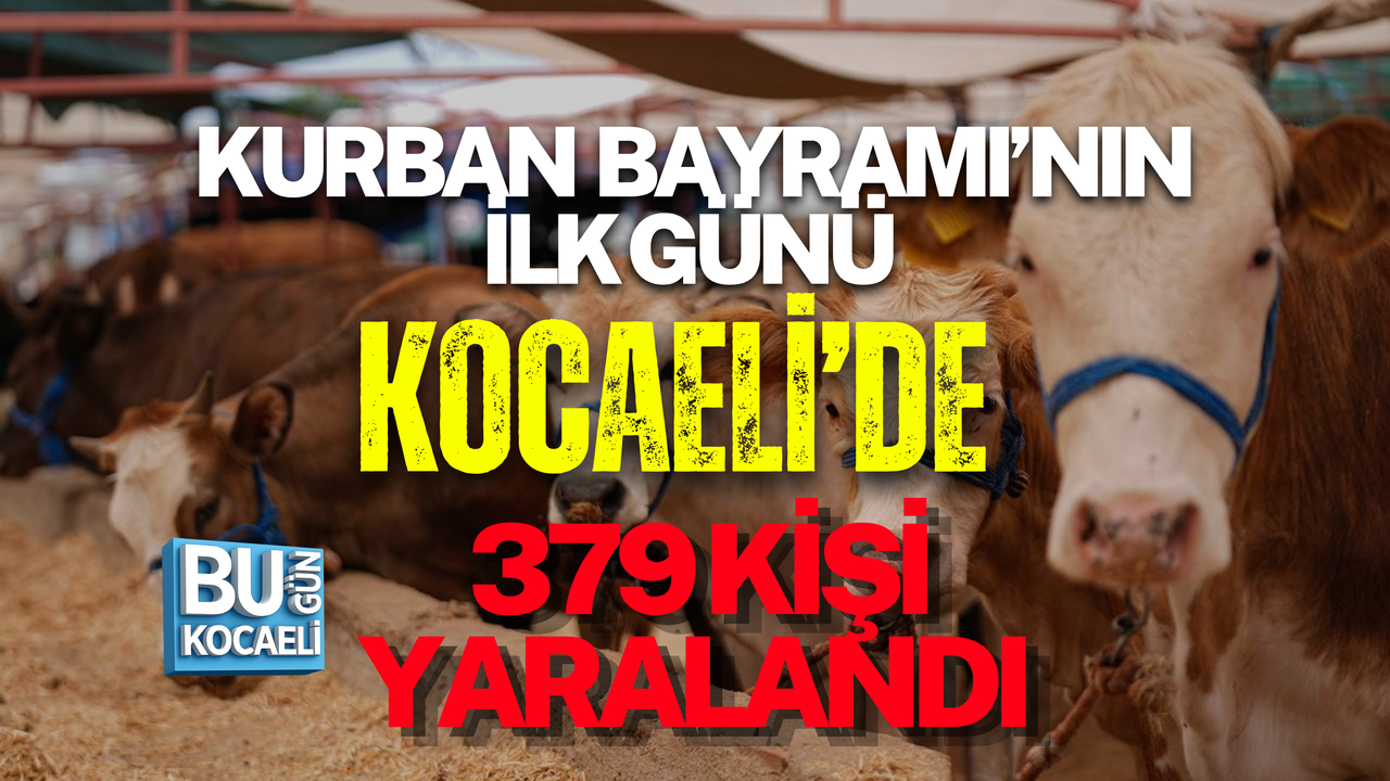 KURBAN BAYRAMI’NIN İLK GÜNÜ KOCAELİ’DE 379 KİŞİ YARALANDI