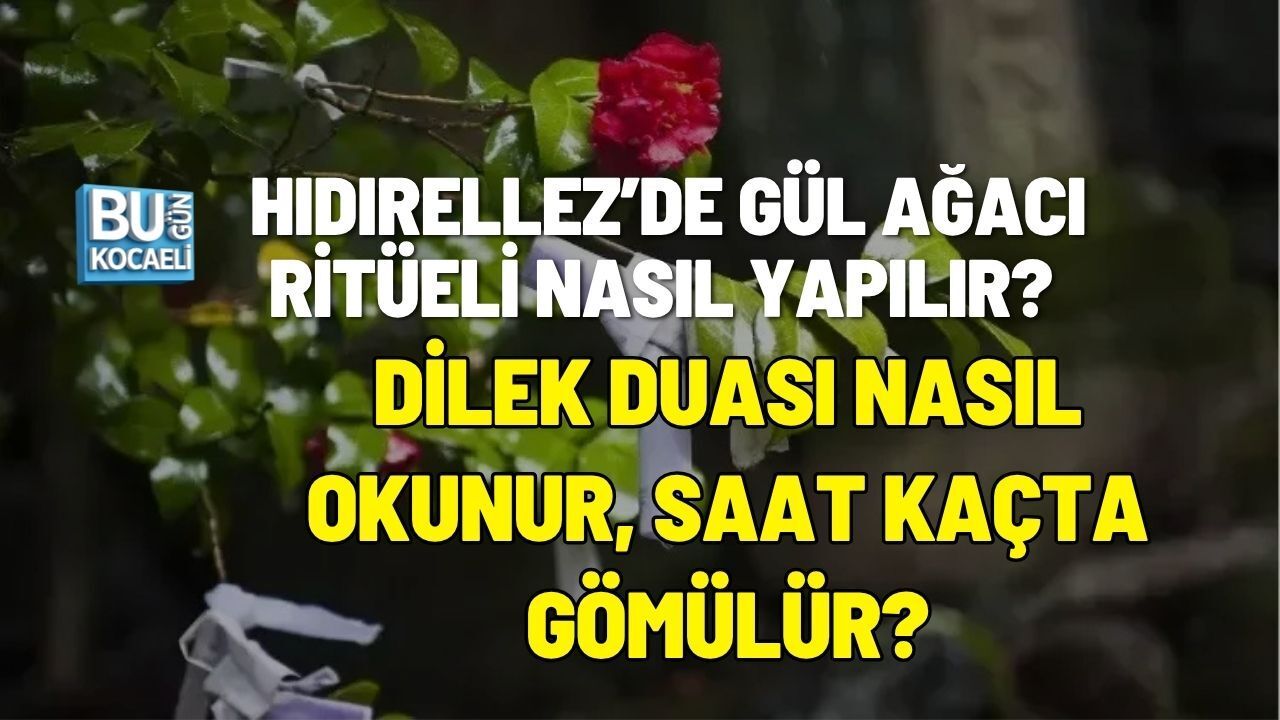 HIDIRELLEZ’DE GÜL AĞACI RİTÜELİ NASIL YAPILIR? DİLEK DUASI NASIL OKUNUR, SAAT KAÇTA GÖMÜLÜR?
