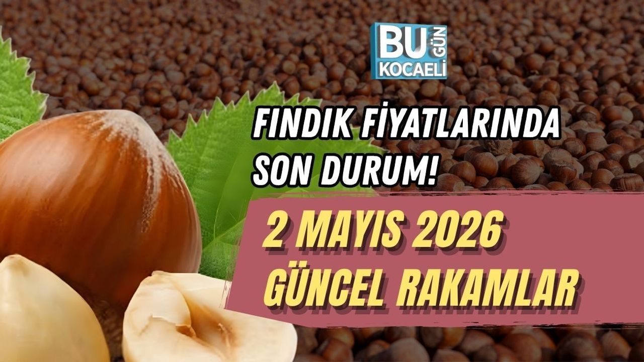 FINDIK FİYATLARINDA SON DURUM! 2 MAYIS 2026 GÜNCEL RAKAMLAR
