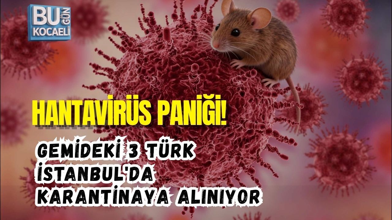HANTAVİRÜS PANİĞİ! GEMİDEKİ 3 TÜRK İSTANBUL'DA KARANTİNAYA ALINIYOR