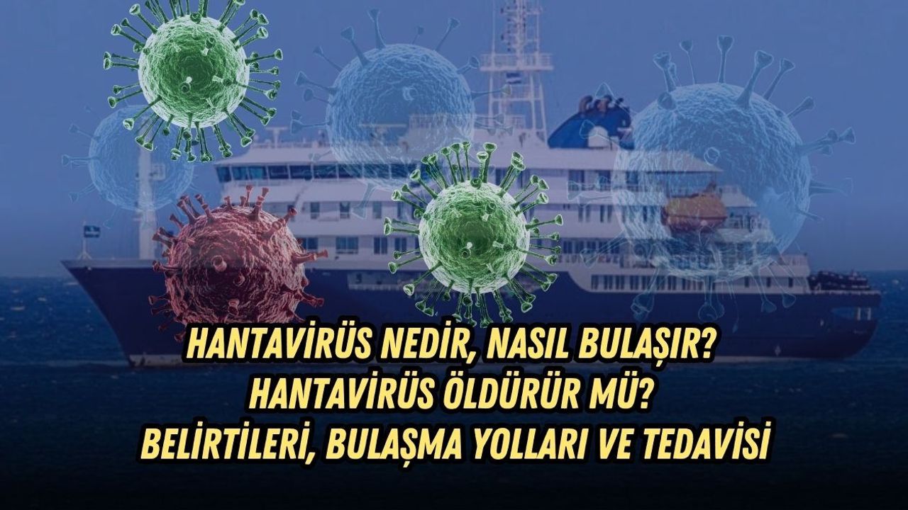 HANTAVİRÜS NEDİR, NASIL BULAŞIR? HANTAVİRÜS ÖLDÜRÜR MÜ? BELİRTİLERİ, BULAŞMA YOLLARI VE TEDAVİSİ