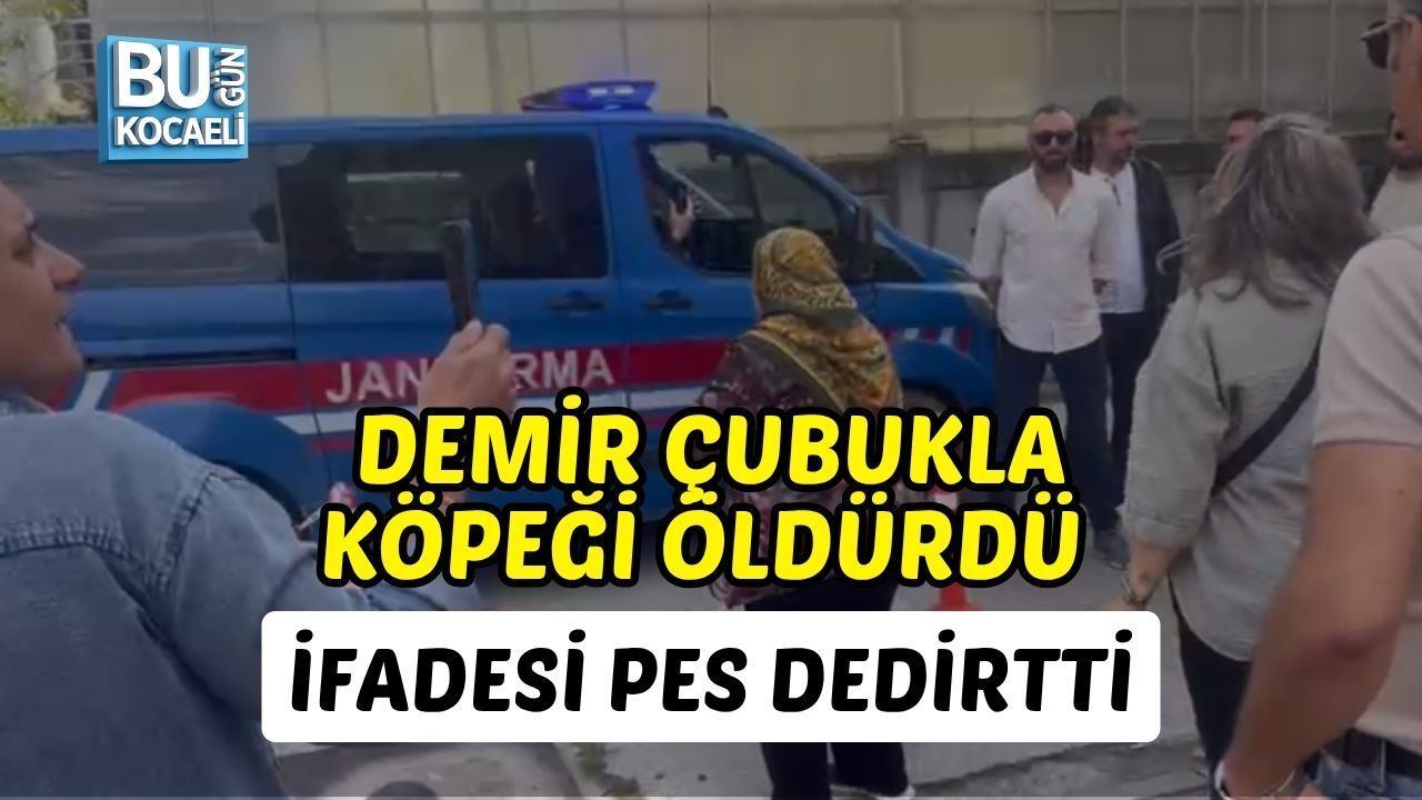 DEMİR ÇUBUKLA KÖPEĞİ ÖLDÜRDÜ, İFADESİ PES DEDİRTTİ