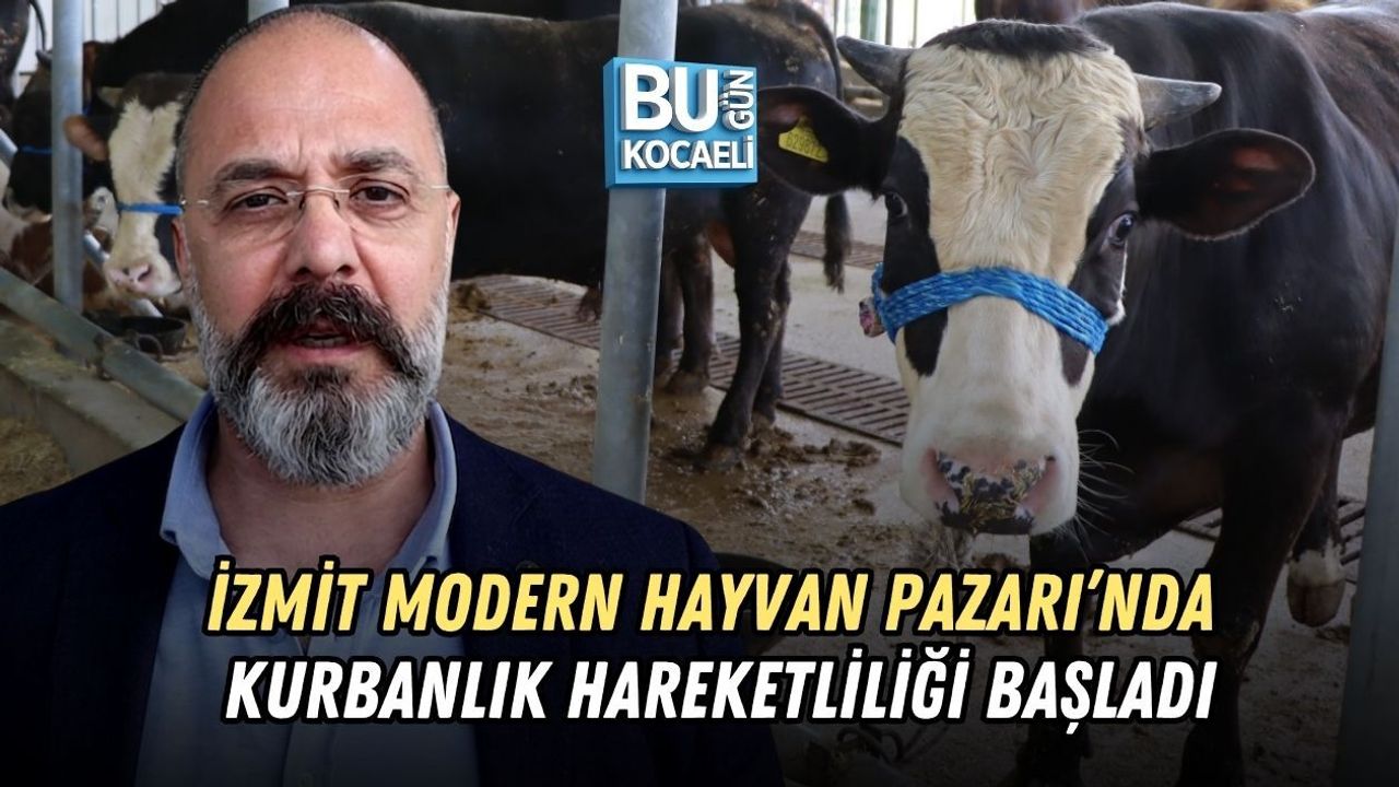 İZMİT MODERN HAYVAN PAZARI’NDA KURBANLIK HAREKETLİLİĞİ BAŞLADI